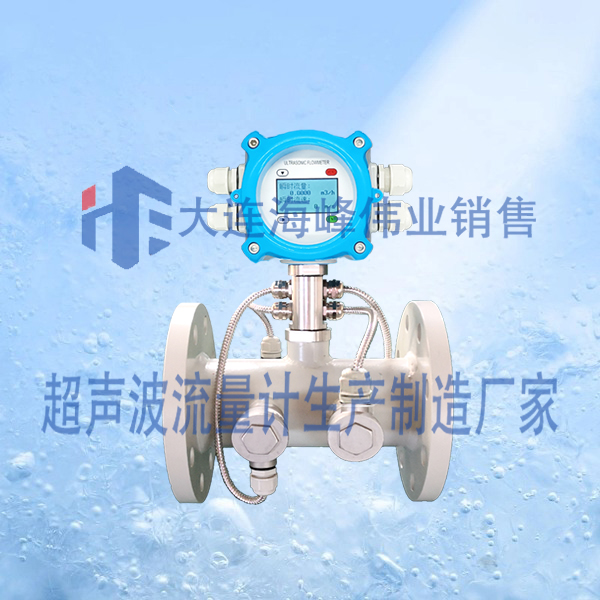 双声道电池供电IP68一体管式段超声波流量计