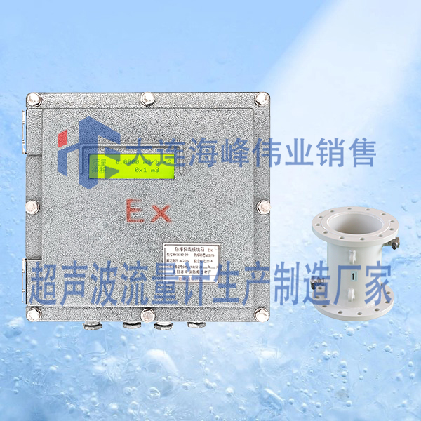 防爆BT6管段式超声波流量计