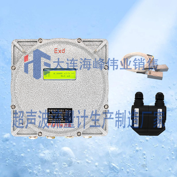 单声道防爆CT6超声波热量表外夹式