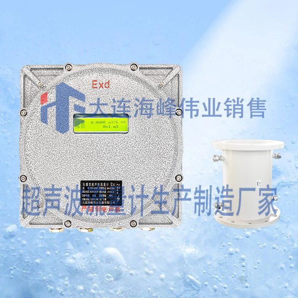 双声道防爆CT6超声波流量计管段式