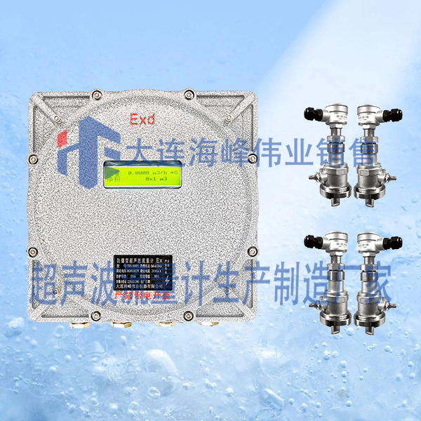 双声道防爆CT6超声波流量计插入式