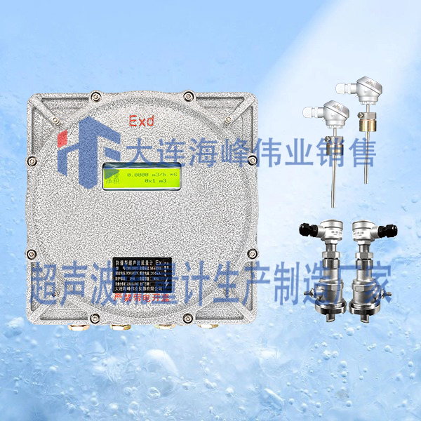 单声道防爆CT6超声波热量表插入式