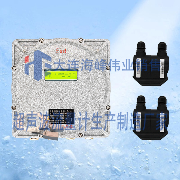 双声道防爆CT6超声波热量表外夹式
